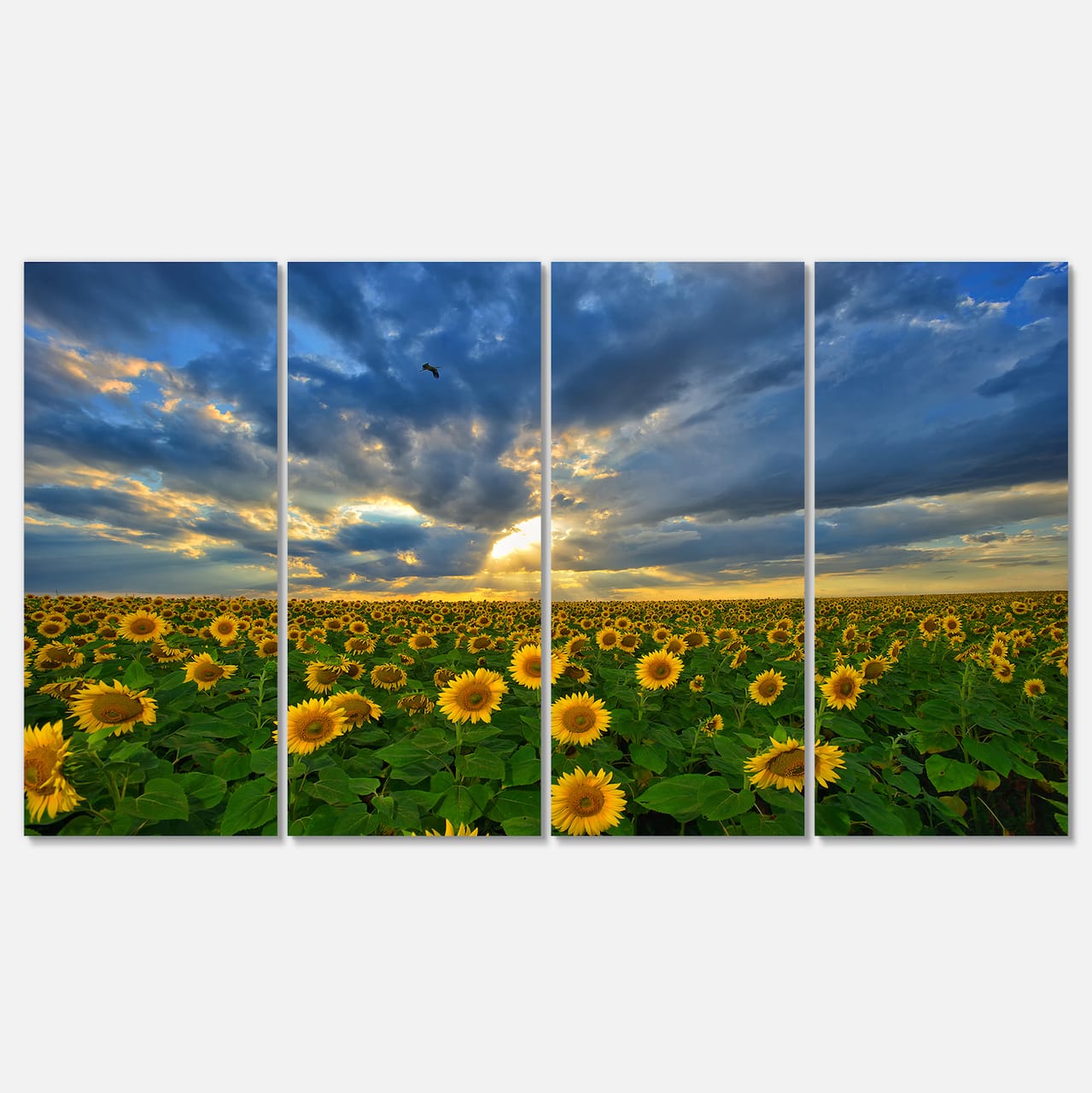 Designart - Beauty Sunset over Sunflowers - Landscape Canvas Art Print